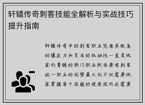 轩辕传奇刺客技能全解析与实战技巧提升指南